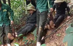 Một cán bộ bảo vệ rừng ở Huế gặp nạn trong lúc truy đuổi “lâm tặc”