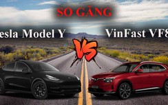 Infographic: "So găng" Tesla Model Y và VinFast VF8