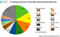 Lộ diện Top 5 thị phần môi giới hàng hóa lớn nhất Việt Nam năm 2021