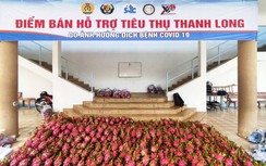 Cần Thơ đang "giải cứu" thanh long thế nào?