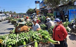 Chợ chuối Tết lớn nhất miền Trung nhộn nhịp ngày cận Tết