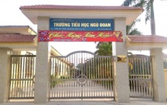 Hải Phòng: Đề nghị dừng hợp đồng giáo viên có học sinh bị đánh tím mông