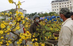 Ngày cuối năm, tiểu thương Đà Nẵng bán lỗ hoa Tết chạy mưa