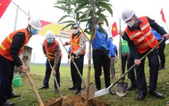 “Mỗi cây là một cọc tiêu sống, làm xanh quốc lộ”