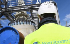 Nghị sĩ Mỹ chia rẽ về dự luật trừng phạt Nord Stream 2