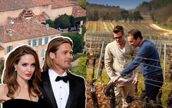 Mảnh đất 48 ha có gì mà khiến Brad Pitt "nổi trận" với Angelina Jolie