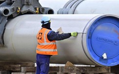 Công ty xây dựng Nord Stream 2 sa thải 140 nhân viên, chuẩn bị phá sản?
