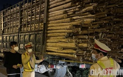 Đà Nẵng: Xe khách cải hoán chở hàng, xe chở gỗ keo gây mất ATGT
