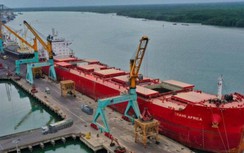 TP.HCM: 7 ngành kiến nghị lùi ngày thu phí cảng biển đến hết ngày 31/12