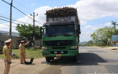 Mở cao điểm TTKS, CSGT Đắk Lắk "phạt nóng" loạt xe chở mía quá tải