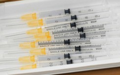 Sau tiêm vaccine, người sốt cao sẽ sinh nhiều kháng thể hơn?
