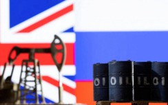 Những nước phương Tây nào ủng hộ/phản đối trừng phạt dầu khí Nga?