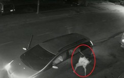 Lại xuất hiện clip nhóm người đi ô tô bắn trộm chó trong đêm ở TP.HCM