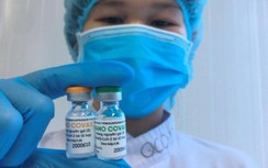 Số phận vaccine phòng Covid-19 Nanocovax của “cha đẻ” Hồ Nhân giờ ra sao?