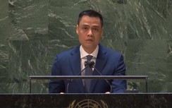 Đại sứ Việt Nam tại LHQ nhấn mạnh lập trường của VN về tình hình Ukraine