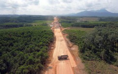 Xem xét chuyển mục đích hơn 85 ha rừng làm cao tốc Quảng Ngãi - Hoài Nhơn