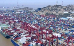 Cảng container lớn nhất thế giới bị ảnh hưởng vì dịch Covid-19