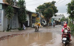 TP.HCM: Khẩn trương sửa chữa đường Trần Đại Nghĩa hư hỏng nặng