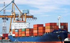 Hàng chục container điều bị lừa xuất khẩu sang Italia giờ ra sao?