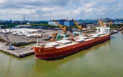 TP.HCM thu gần 90 tỷ đồng sau 12 ngày thu phí cảng biển