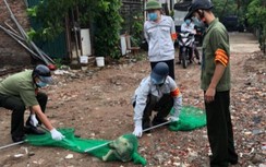 Hà Nội lập gần 600 đội bắt chó thả rông