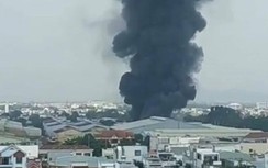 Đang cháy lớn tại cụm công nghiệp ở TP Quy Nhơn, uy hiếp khu dân cư