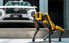 Hyundai Thành Công đưa robot Spot Boston Dynamic về Việt Nam