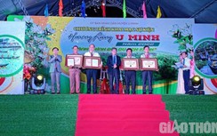 Chính thức khai mạc “Hương rừng U Minh” và xác lập 2 kỷ lục Việt Nam