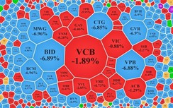 Kỷ lục: 356 cổ phiếu giảm sàn trong phiên giao dịch ngày 9/5