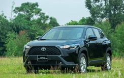 Xe nhập khẩu Toyota bán chạy bất ngờ dù không được giảm phí trước bạ