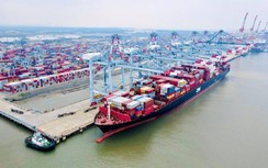 Cận cảnh Cái Mép lọt top 11 cảng container hiệu quả nhất thế giới