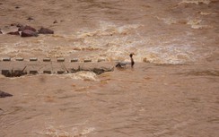 26,8 tỷ đồng xây 2 cầu vượt lũ thay cầu tràn “mưa là ngập” tại Quảng Trị