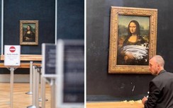 Khách nam cải trang thành bà cụ ngồi xe lăn, phá hoại tranh Mona Lisa
