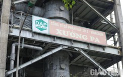 Vụ cây khô xác, người ngất: Phó Tổng giám đốc Công ty CP DAP số 2 nói gì?