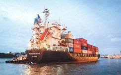 Đội tàu container Việt Nam đang ở đâu so với thế giới?