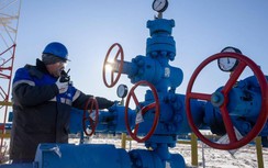 Quan chức Mỹ: Nga kiếm lời từ dầu mỏ còn nhiều hơn cả trước chiến sự