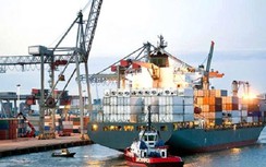 Cả nước hiện có 48 tàu container, sức chứa gần 40 nghìn TEUs