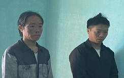 Cưa gỗ quý mang đi bán, ba anh em ruột cùng bị khởi tố tại Hà Giang