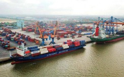 Nghiên cứu hồ sơ cảng biển gần 1,5 tỷ USD tại Nam Định
