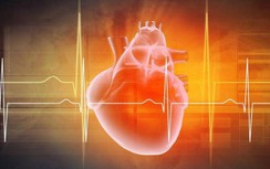 Người đàn ông 53 tuổi chết vì đau tim đột ngột, bác sĩ nhắc mọi người 5 điều