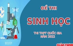 Đề thi môn Sinh học tốt nghiệp THPT 2022 tất cả mã đề