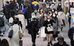 Nhật Bản: Xúc phạm lăng mạ trên trực tuyến có thể bị phạt tù