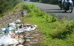 Thái Bình: Rác thải tràn ngập ven đường ra bãi biển Cồn Vành