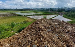Dự án Mai Pha: Diện tích đất lúa phải chuyển đổi sai lệch hàng chục ha