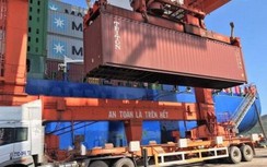 Loạt phương tiện bị xử phạt vì chở quá tải tại cảng biển