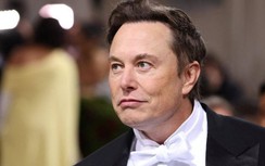 WSJ: Tỷ phú Elon Musk ngoại tình với vợ bạn thân, phải quỳ gối xin lỗi