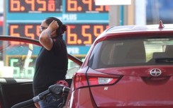Giá xăng dầu hôm nay 30/7: Giảm gần 5% trong tháng thứ 2 liên tiếp