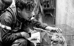 Ký ức về người lính Đỗ Đức Việt: Không còn được nghe lời chào thân thuộc