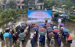 Ngành GTVT Quảng Ninh tổ chức trồng cây ở các tuyến đường địa bàn biên giới