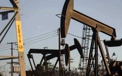 Giá xăng dầu hôm nay 9/8: Vượt mốc 90 USD do tín hiệu đàm phán Mỹ - Iran